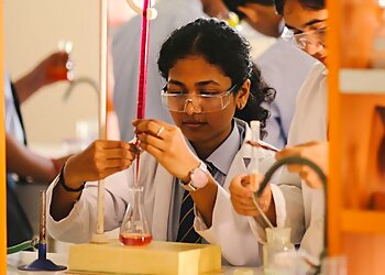 The TonsBridge School