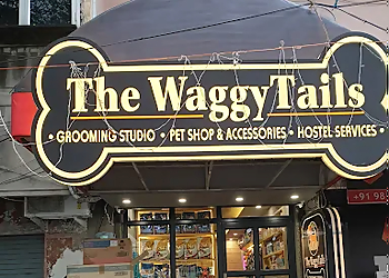 The WaggyTails The WaggyTails