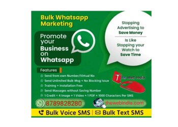 The Web India Advertisement Agencies