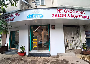 The White Collar Pet Spa The White Collar Pet Spa