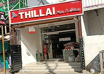 Thillai Pets & Clinic 