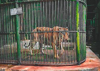 Thiruvananthapuram Zoo