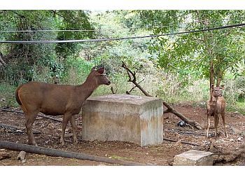 Tirumala Deer Park Reserve