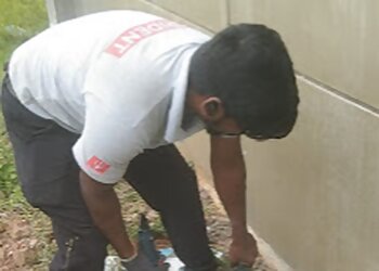 Trident Pest Control