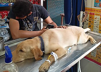 Trimaxx Veterinary Clinic