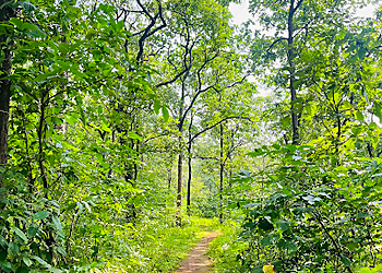 Tungareshwar Wildlife Sanctuary