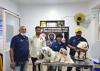 Twin City Pet Hospital