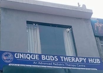 Unique Buds Therapy Hub