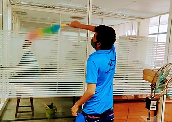 Unique Home Cleanup Services