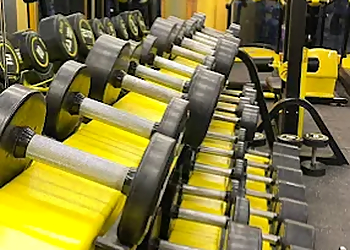 Universal Fitness Hub