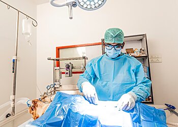 Universal Pet Care Hospital