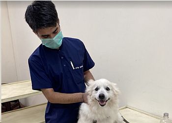 V Care Pet Clinic