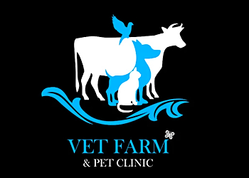 VET PET CLINIC