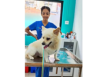 VET PJB Pet Clinic