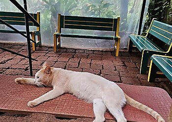 Vanasuma Veterinary Clinic