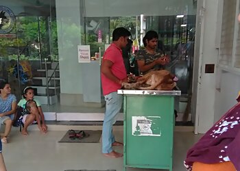 Vasai Multispeciality Pet Clinic