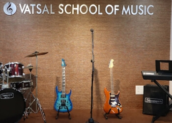 Bhilai Music Schools Vatsal School Of Music image 1