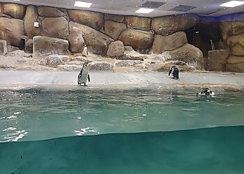 Veermata Jijabai Bhosale Botanical Udyan and Zoo