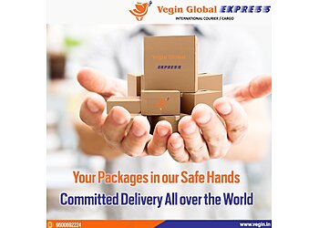 Vegin Global Express