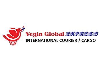 Vegin Global Express