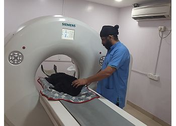 3 Best Veterinary Hospitals in Bhilai - Expert Recommendations