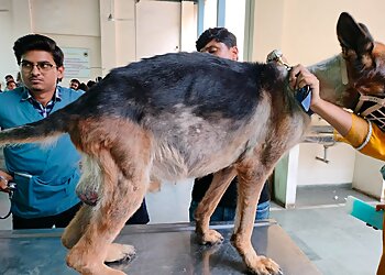 Veterinary Clinical Complex