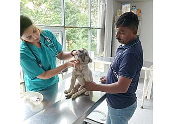 Veterinary Hospital & Wellness Centre