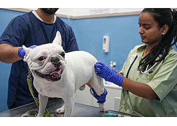 Vetic Pet Clinic Ghaziabad