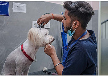 Vetic Pet Clinic Ghaziabad