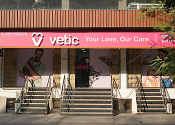  Vetic Pet Clinic Ghaziabad