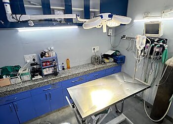 Vets N Pets Veterinary Clinic