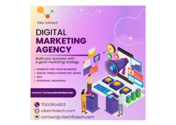 Vibe Infotech