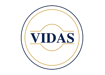Vidas Law Firm