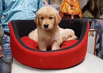 Vikas Pet Shop & Grooming Salon