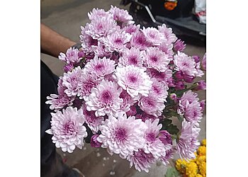 Solapur Flower Shops Vinayak Flower Shop & Stage Decoration image 1