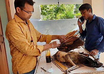 Viram's Veterinary Clinic & Surgical Centre