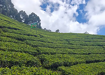 VishwaVihar Holidays Pvt. Ltd.