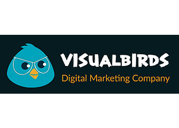 Visual Birds Media