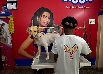 Vizag Pet Grooming