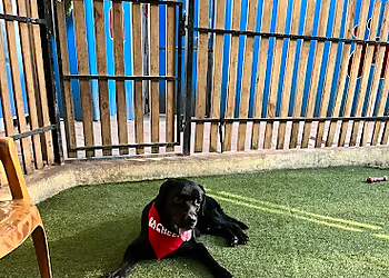 Woof N Goof Pet Resort