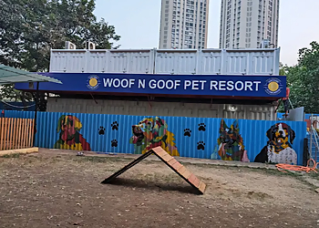 Woof N Goof Pet Resort