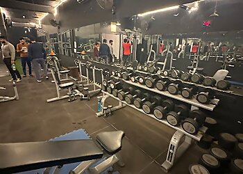 World Gym Fitness Point