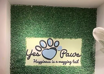 Yes Paws