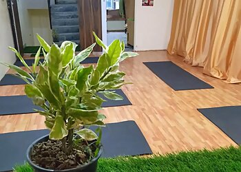 Yogic Panacea Studio