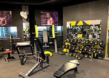 ZAPY Cut'n'Curve Pvt. Ltd.