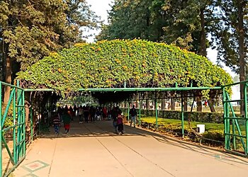 Zakir Hussain Rose Garden