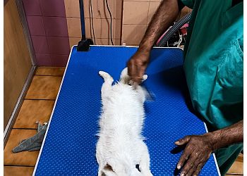 kanfe Globuz Pet Polyclinics