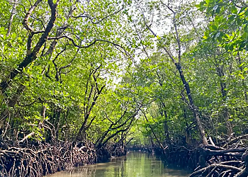 kohinoor Tour & Travels