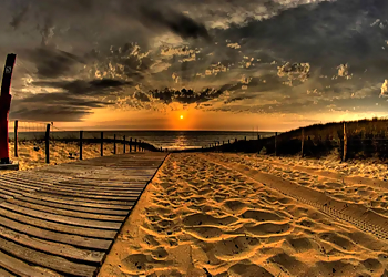 kohinoor Tour & Travels